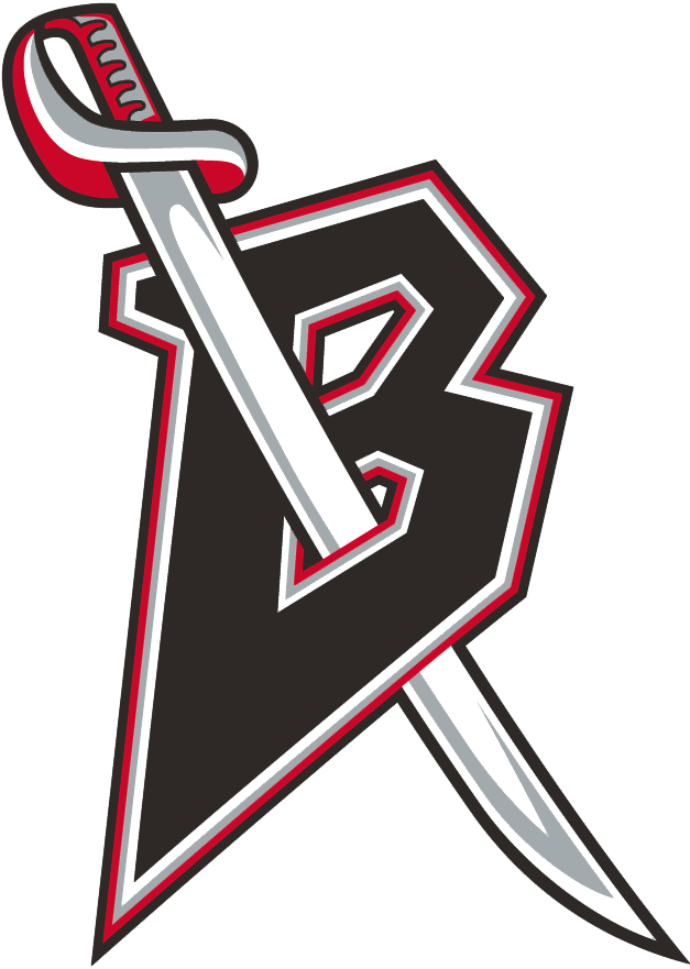 Buffalo Sabres 1999-2006 Alternate Logo iron on heat transfer